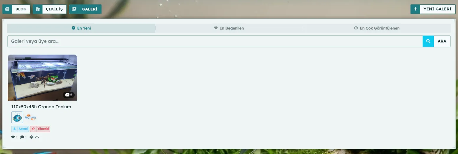 editor_6aa516ea61adf_f2b9660c.webp