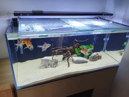 110x50x45h Oranda Tankım