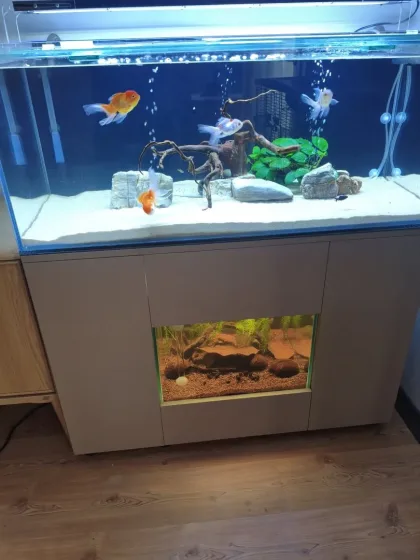 49x49x35 Karides Tankım
