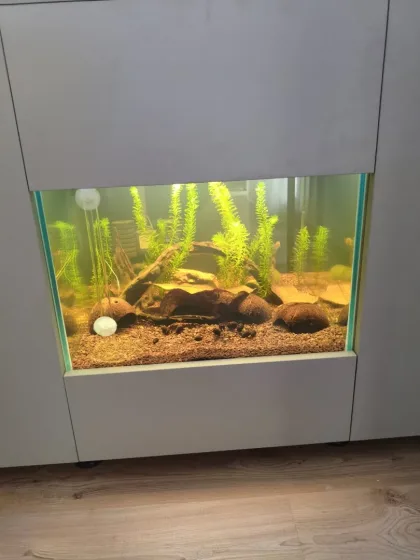49x49x35 Karides Tankım